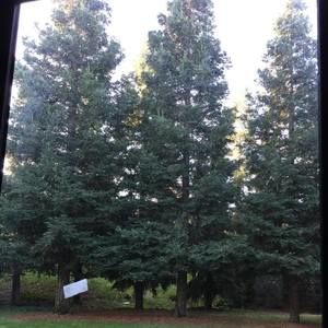 Meet your Posher, Lawrence